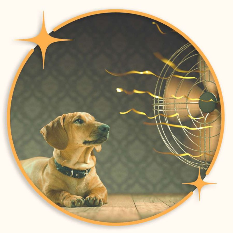 hood-river-air-conditioning-7